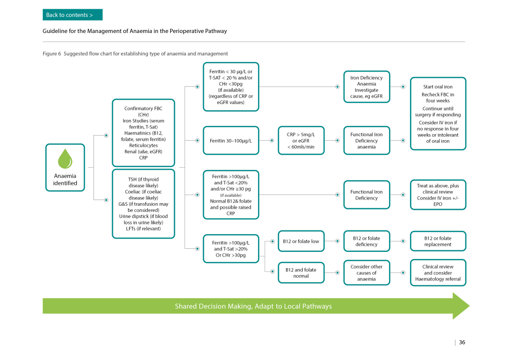 CPOC-AnaemiaGuideline2025-Infographic