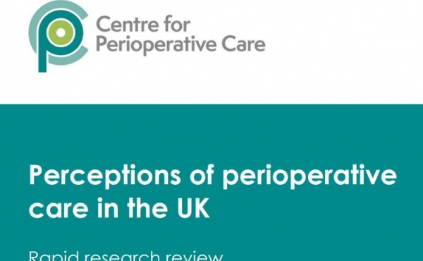 perceptions of perioperative care review front page